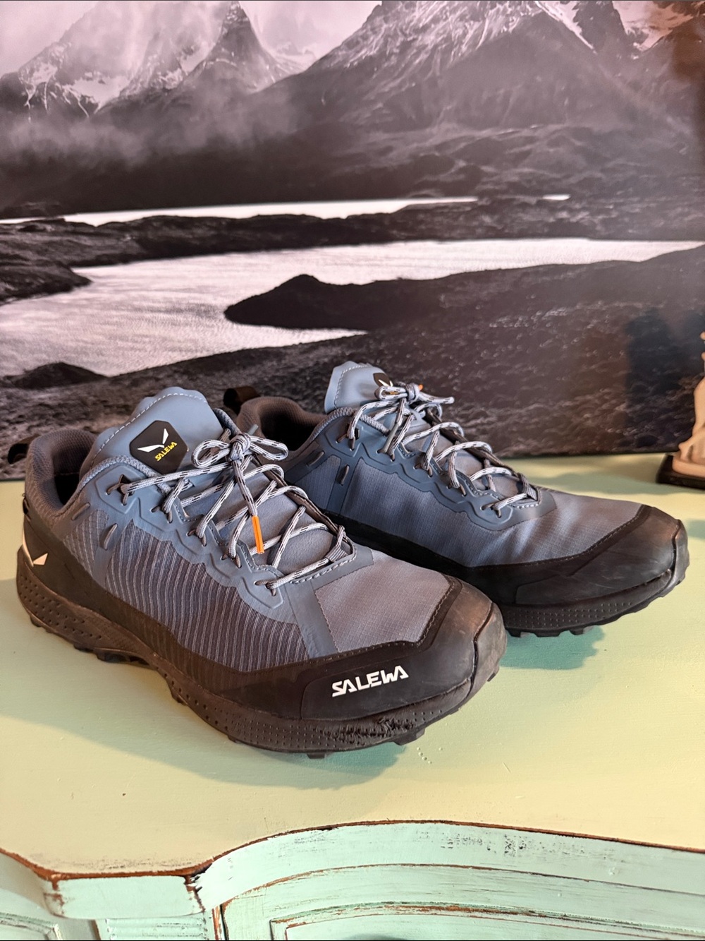 Salewa Men's Pedroc Powertex Hiking Shoes